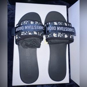 DIOR revolution slides
